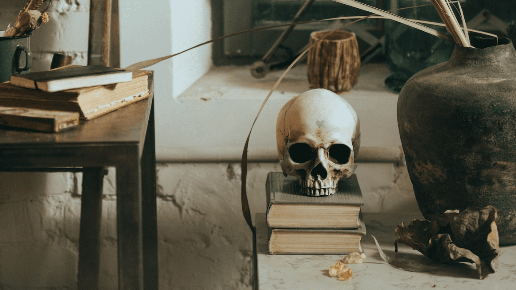 Horror books - Photo by cottonbro studio for Pexels