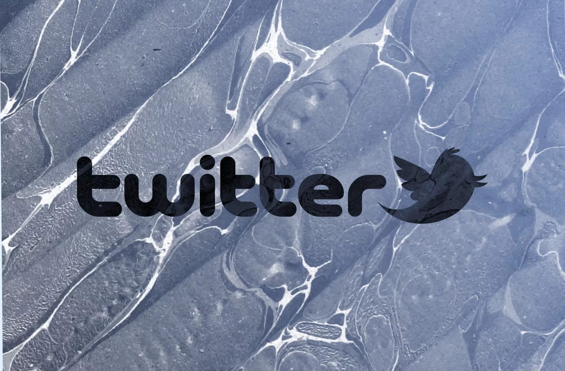 Writer Twitter Example How to Use Twitter as a Writer: An Introduction | The Novlr Reading ...