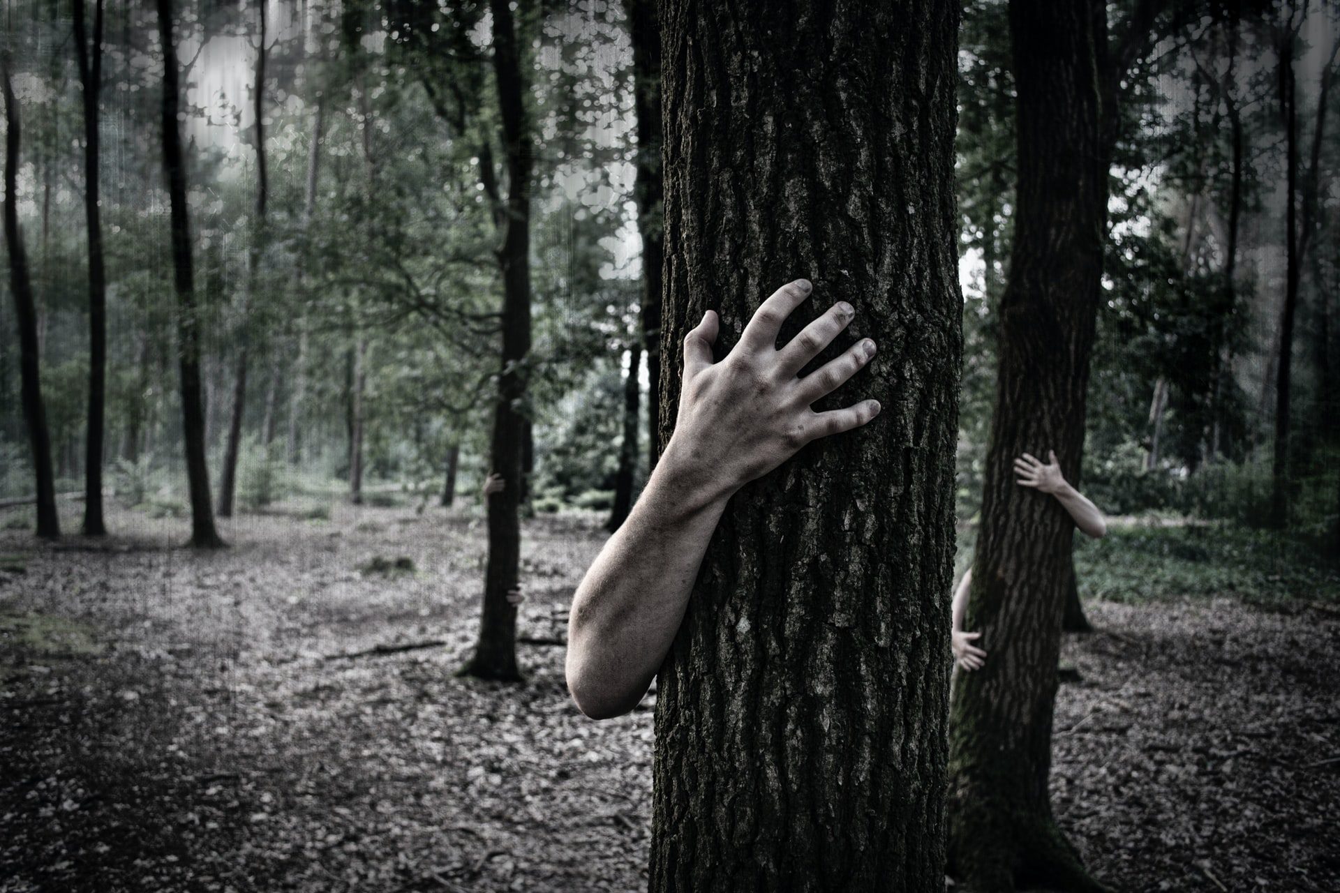 Horror Fiction - the payoff - Photo by Simon Wijers on Unsplash