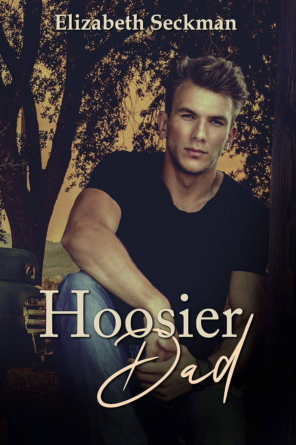 Hoosier Dad by Elizabeth Seckman book cover